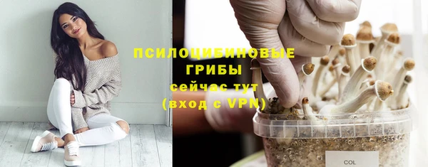 прущие грибы Снежинск