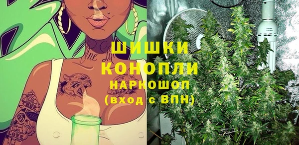 ECSTASY Снежногорск
