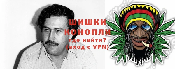 прущие грибы Снежинск