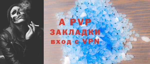 прущие грибы Снежинск
